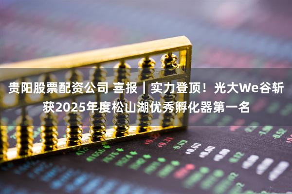 贵阳股票配资公司 喜报｜实力登顶！光大We谷斩获2025年度松山湖优秀孵化器第一名
