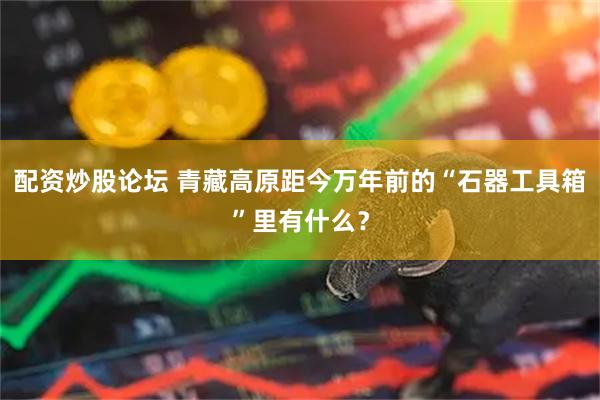 配资炒股论坛 青藏高原距今万年前的“石器工具箱”里有什么？
